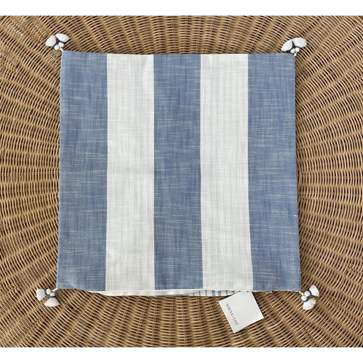 Bay Stripe Outdoor Pillow Cover (20” SQ)-French Blue