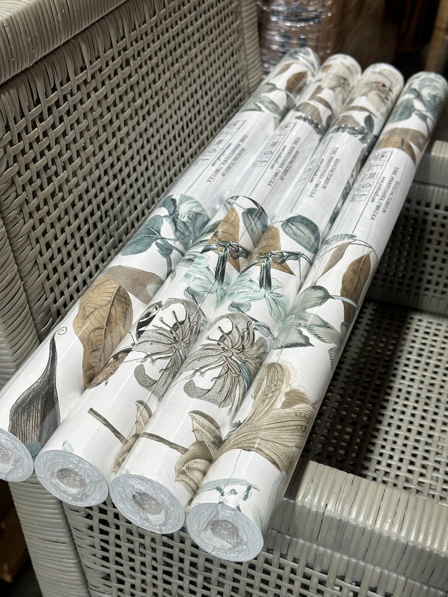 York Wallcoverings Butterfly House Wallpaper-White/Neutrals/Blue